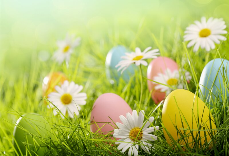Colorful Eggs in Grass — Green, Serene, Spring