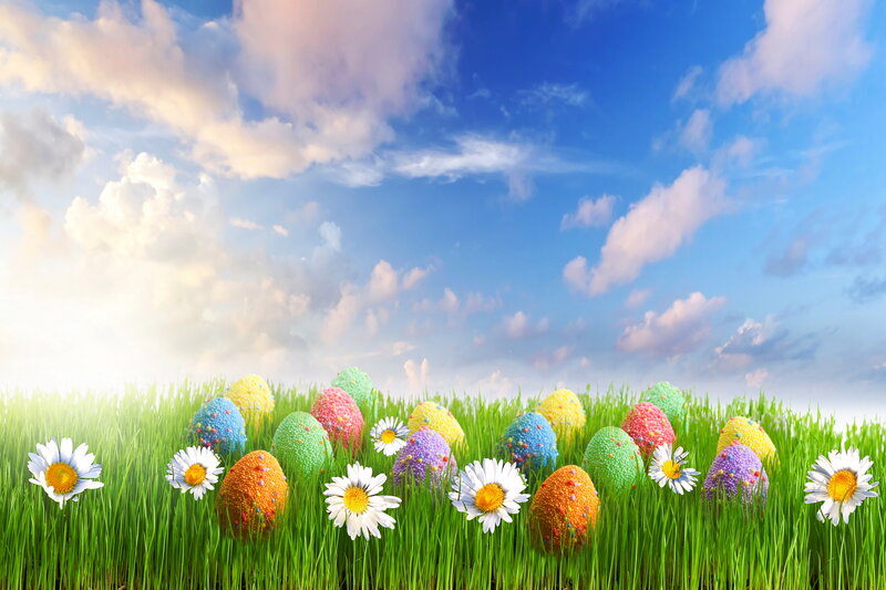 Colorful Eggs in Grass — Green, Serene