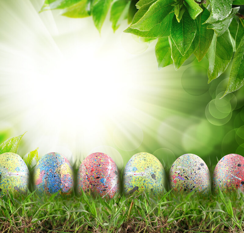 Colorful Eggs in Grass — Green