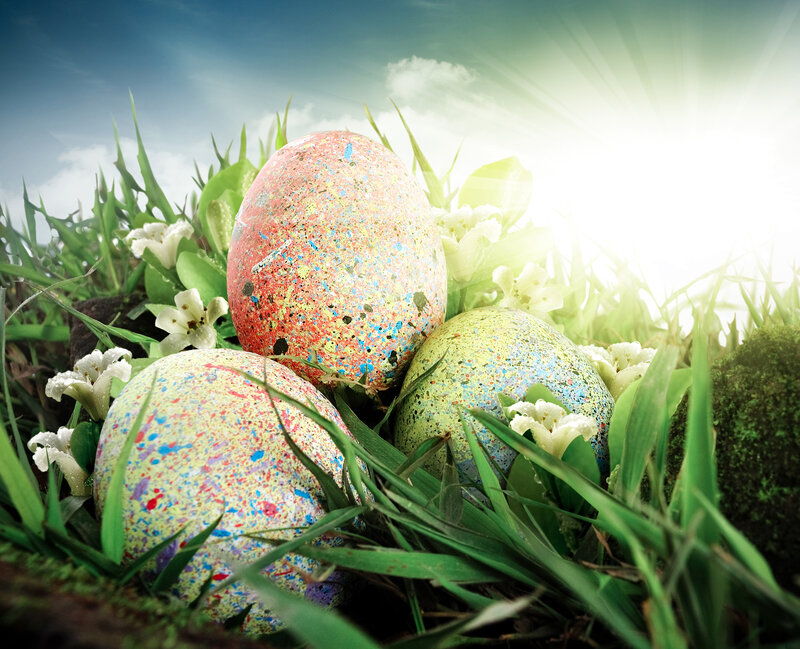 Colorful Eggs in Grass