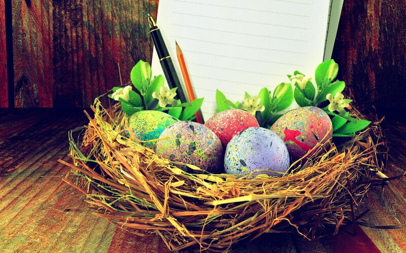 Colorful Eggs in Nest — Brown