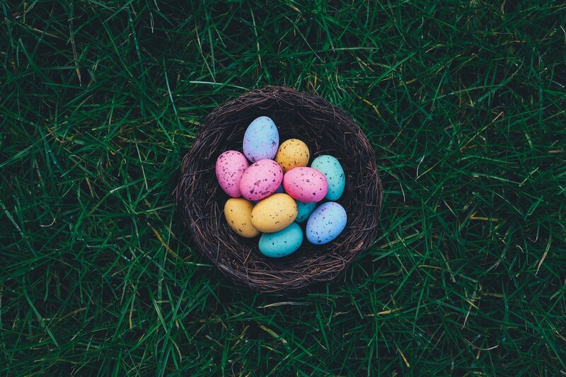 Colorful Eggs in Nest — Green