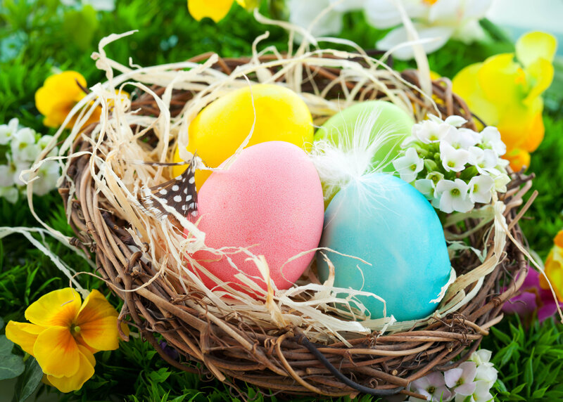 Colorful Eggs in Nest