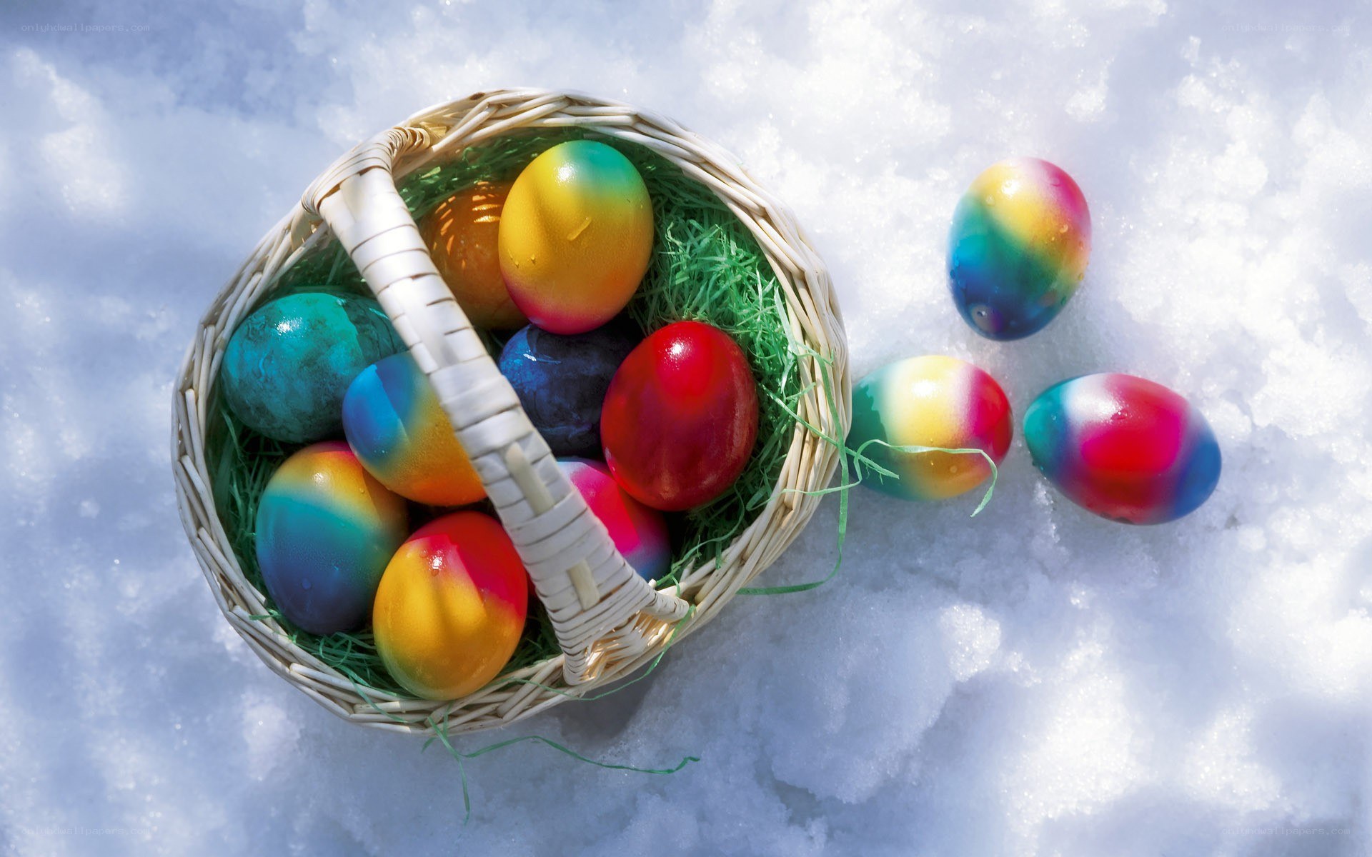 Colorful eggs in snow