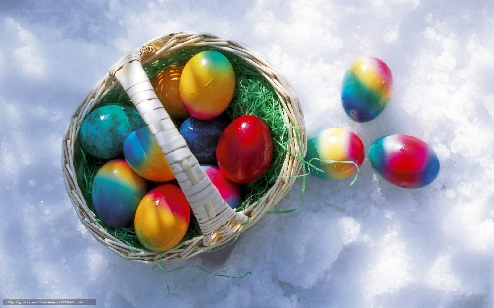 Colorful eggs in snow