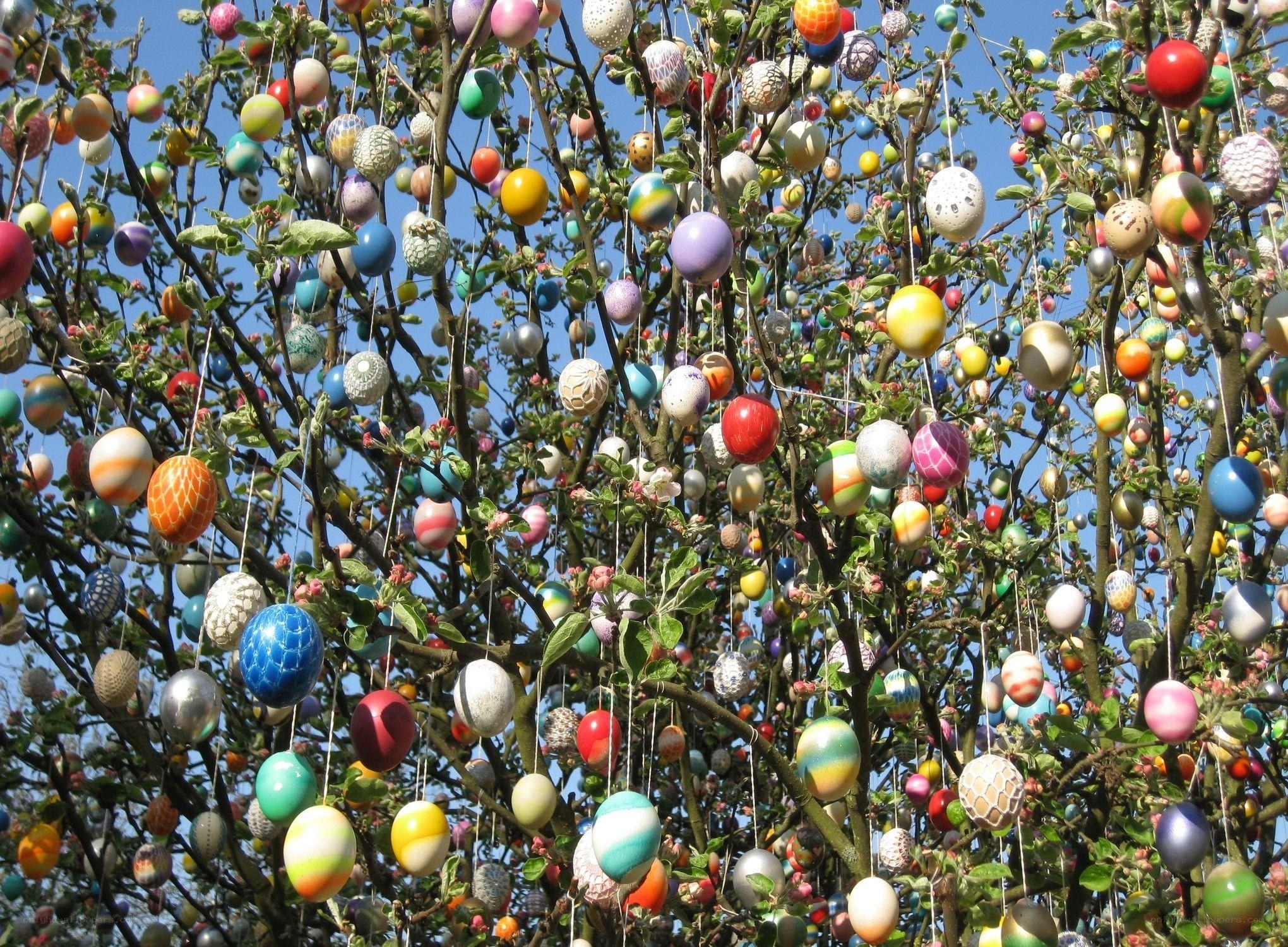 Colorful eggs on a tree