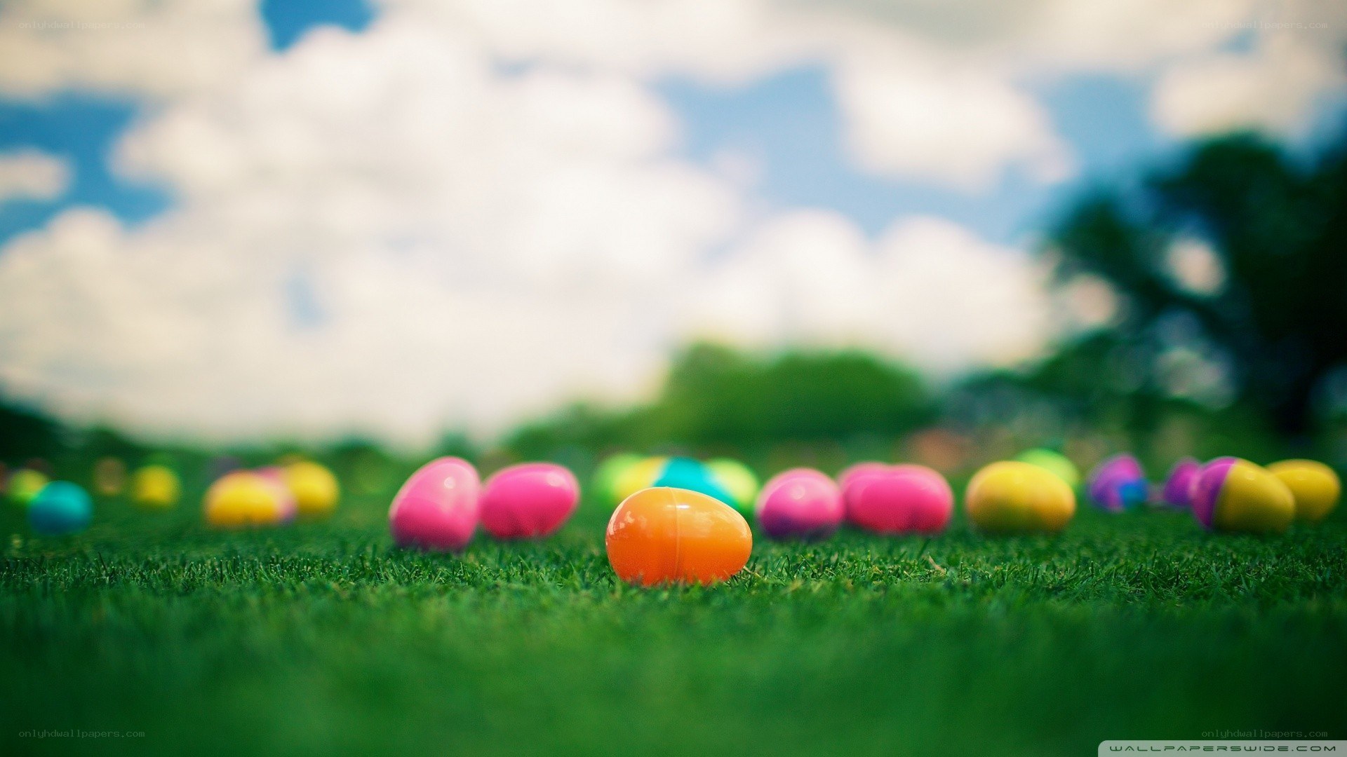 Colorful eggs on grass