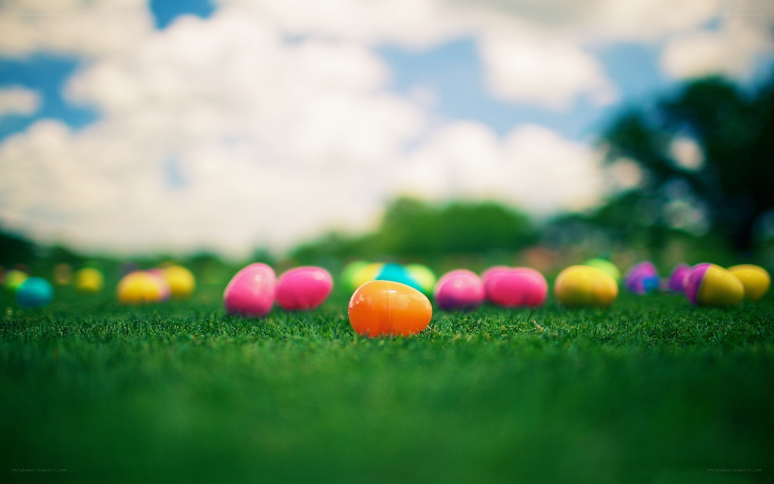 Colorful eggs on grass