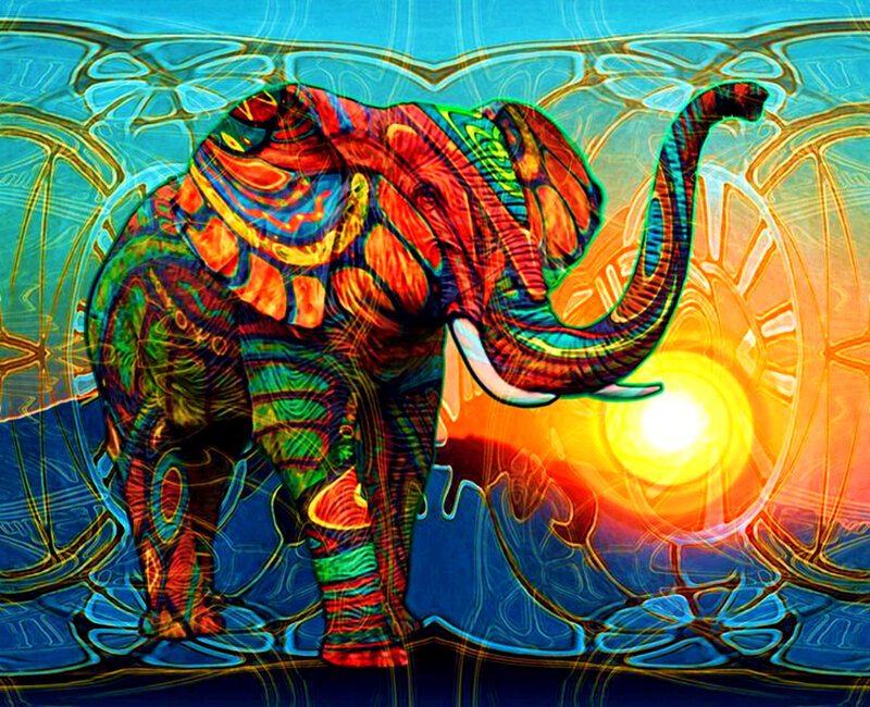 Colorful Elephant Art