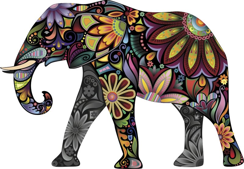 Colorful Elephant Illustration