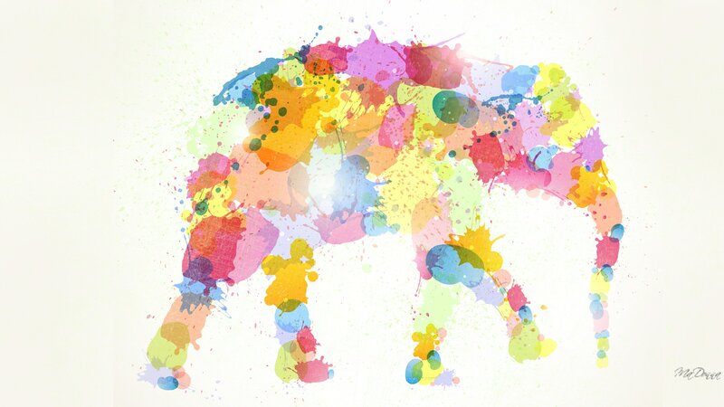 Colorful Elephant Silhouette