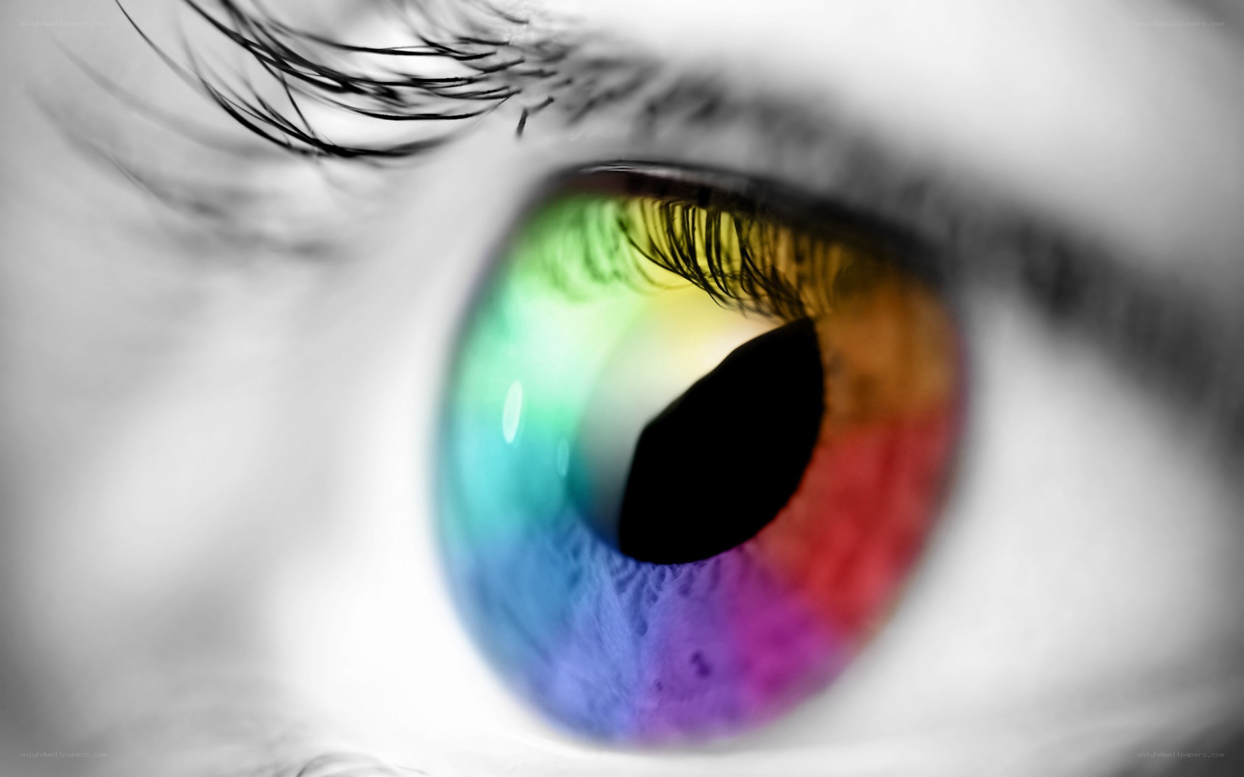 colorful eye close-up