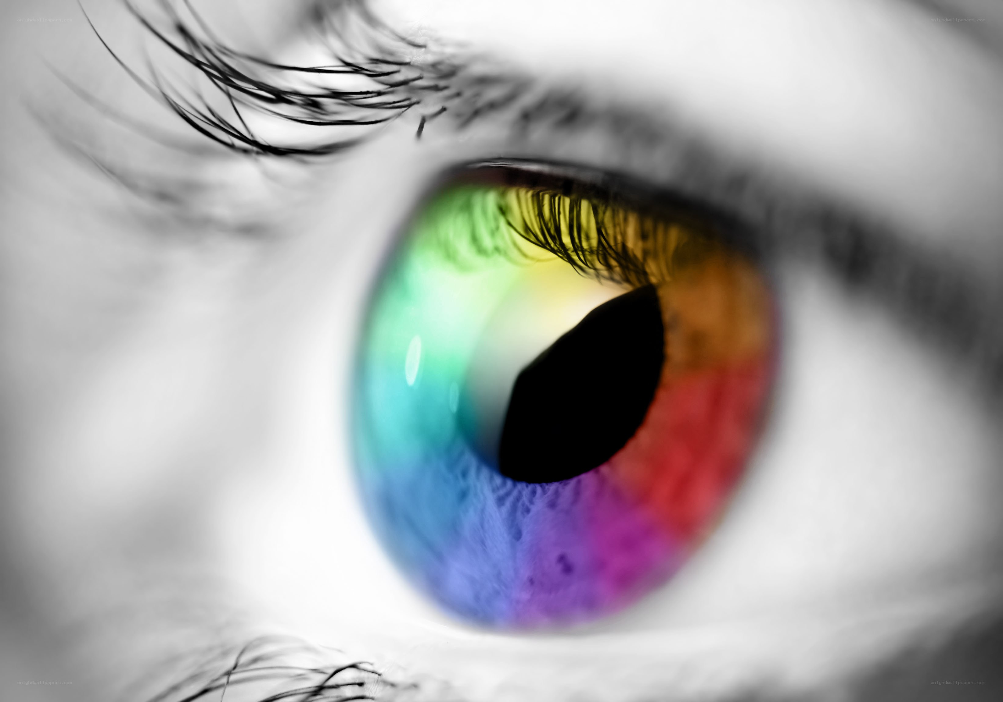 colorful eye close-up