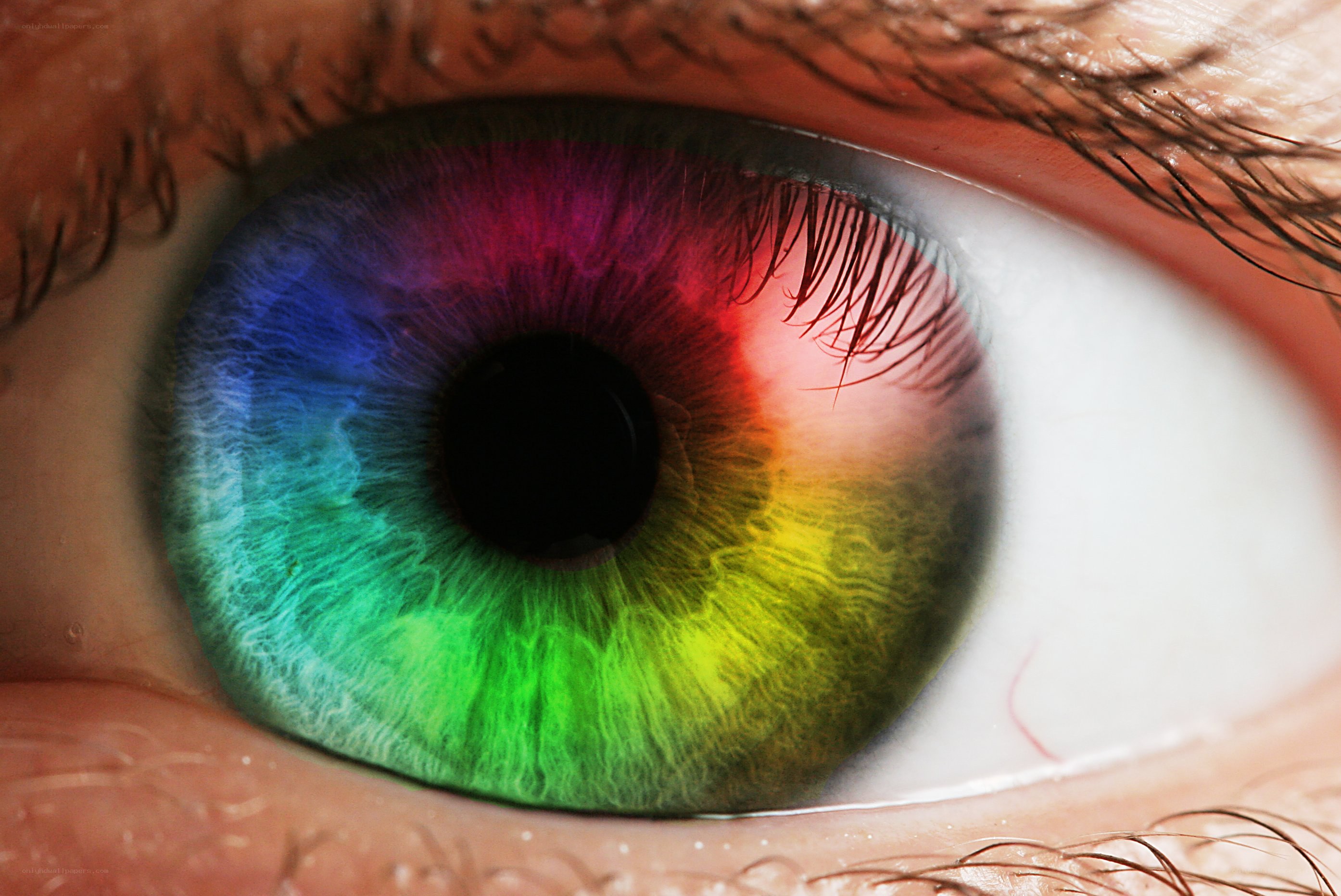 Colorful eye close-up