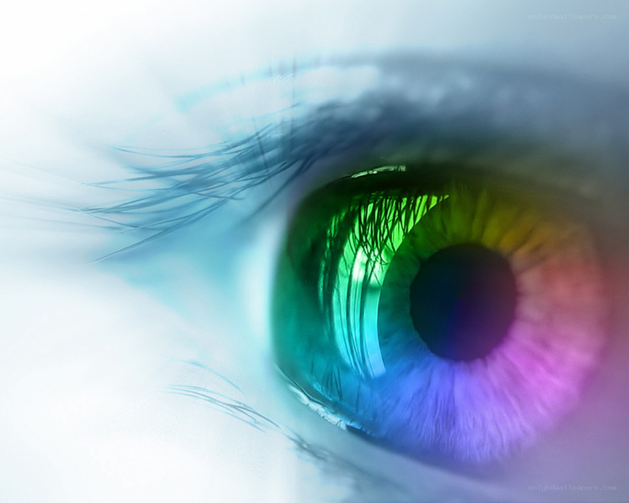 colorful eye close-up