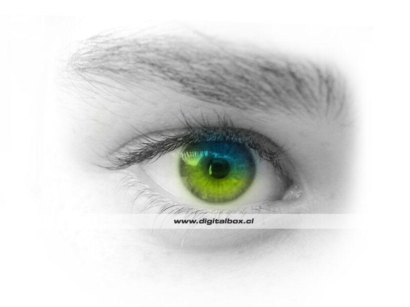 colorful eye in black and white