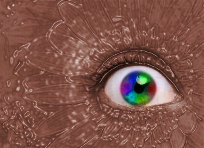 Colorful Eye in Brown Texture
