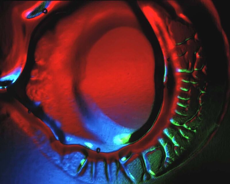 Colorful eye structure