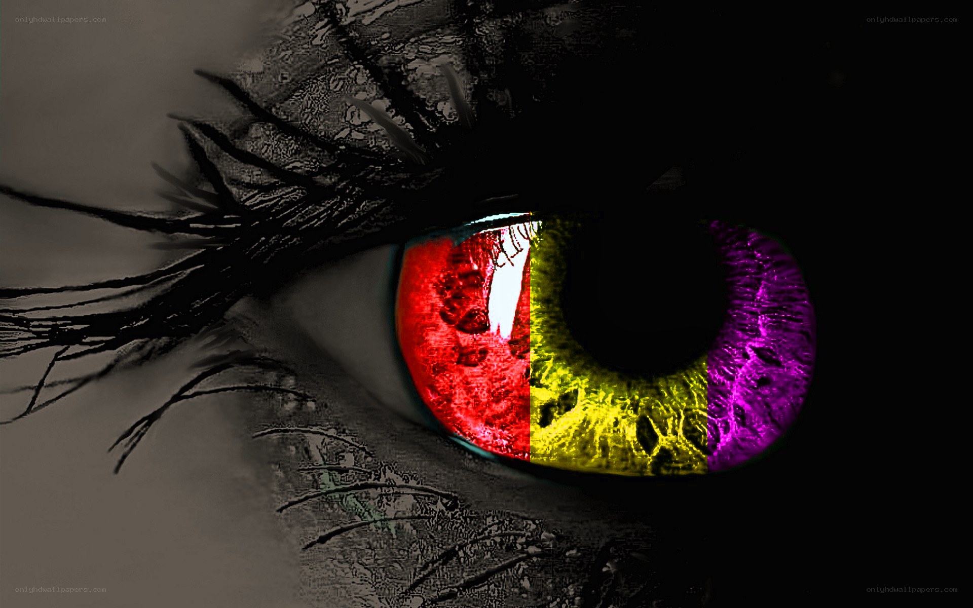 colorful eye with flag pattern