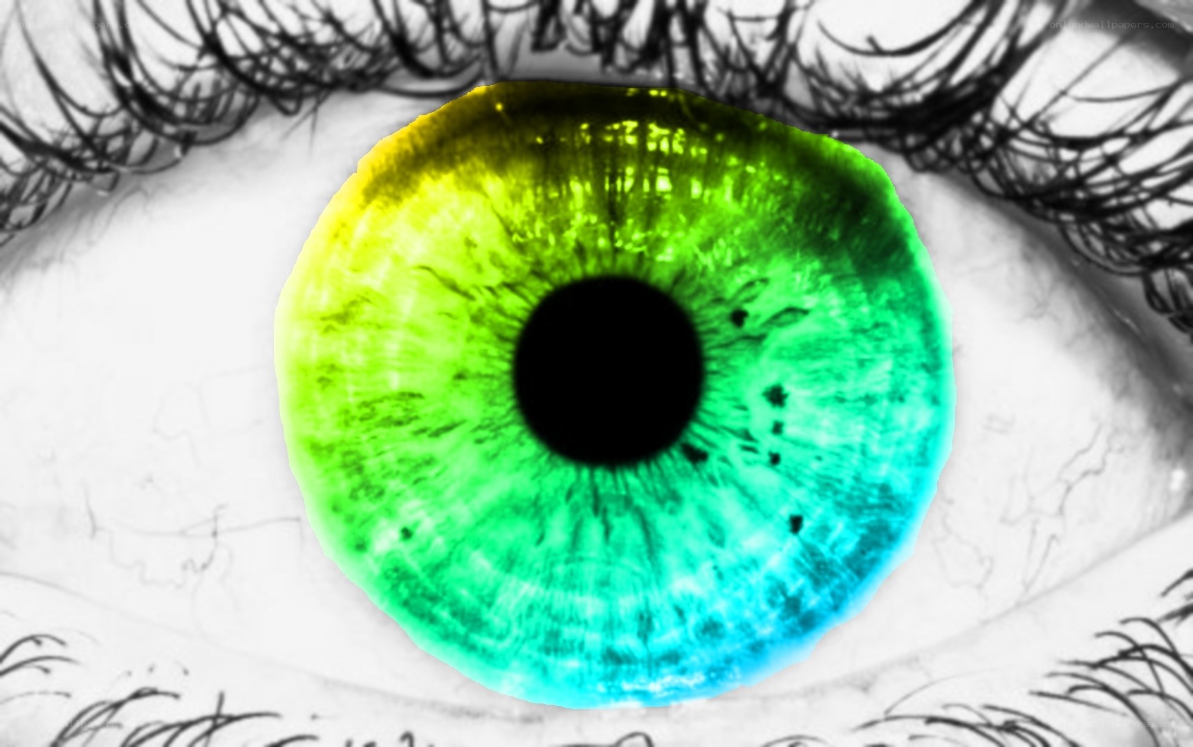 colorful eye with green iris