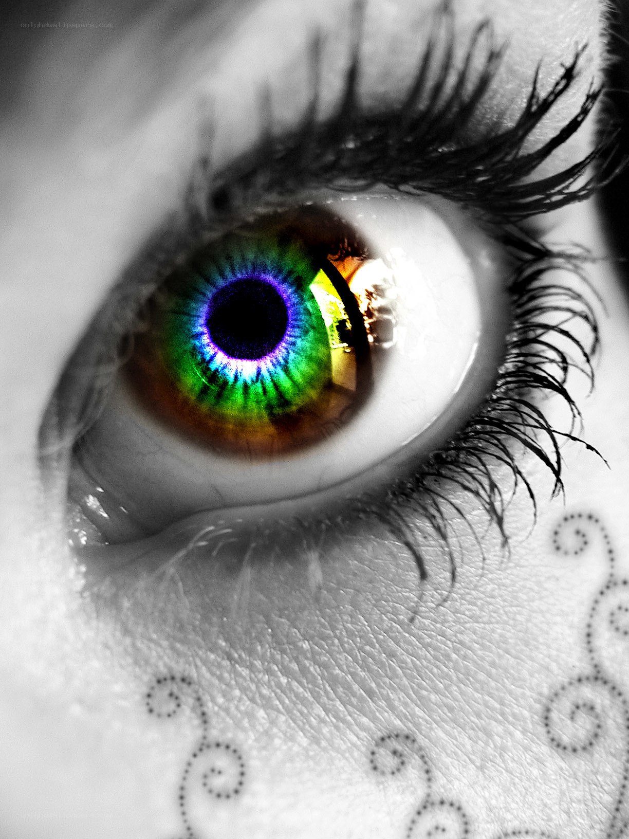 colorful eye with tattoos