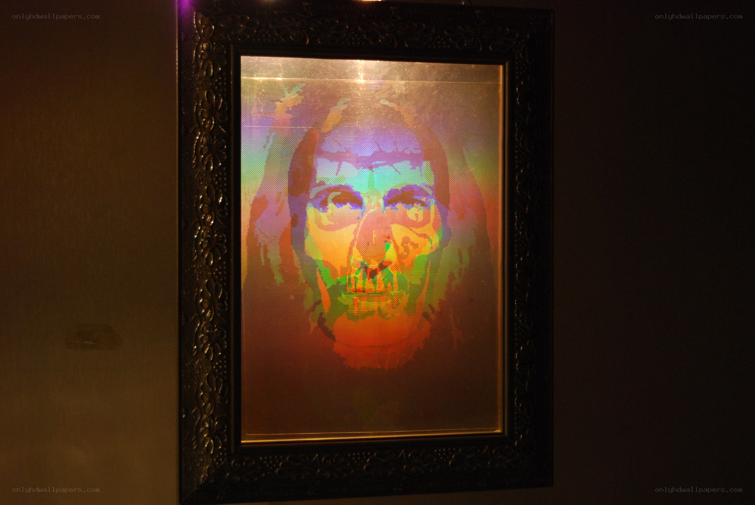 colorful face portrait in frame