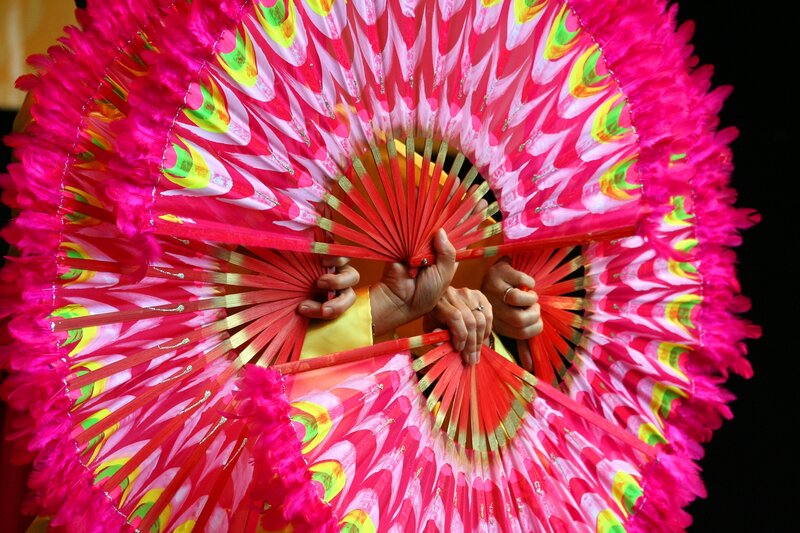 Colorful fans in performance