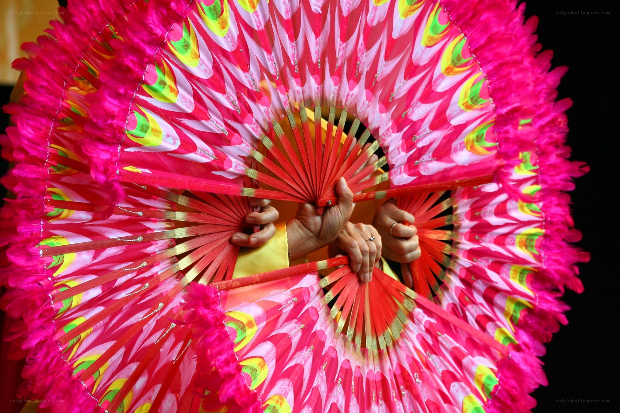 Colorful fans in performance