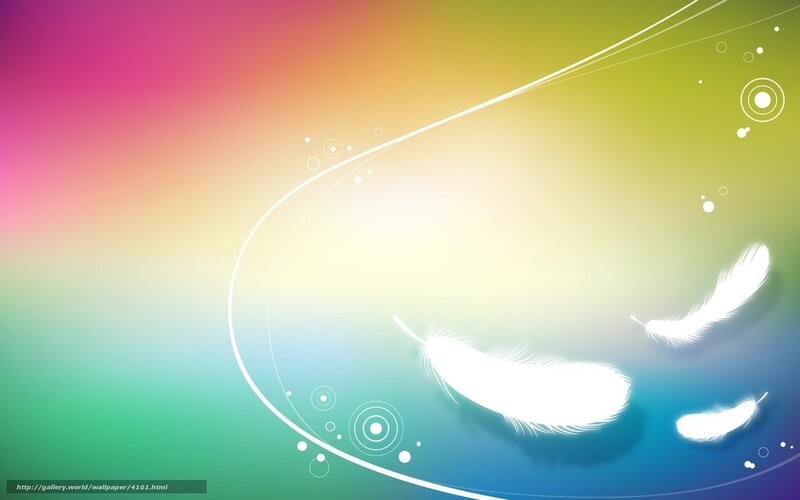 Colorful feather abstract background