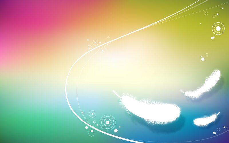 Colorful feather background