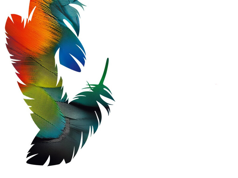 Colorful Feather Design