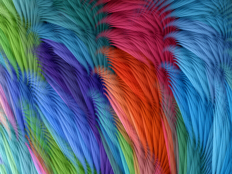 Colorful Feather Pattern