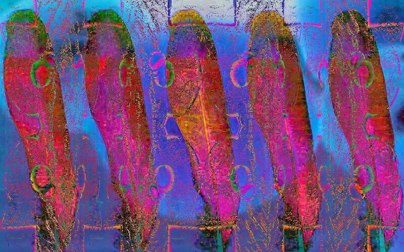 Colorful Feather Shapes