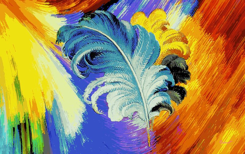 Colorful Feather