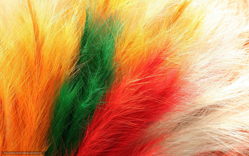 Colorful Feather Tufts