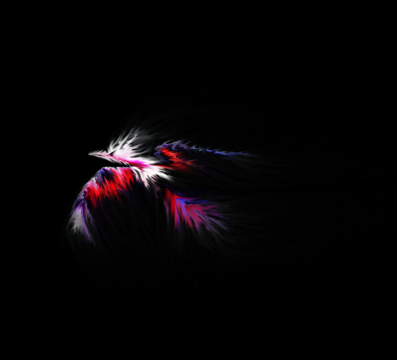 Colorful Feathered Form