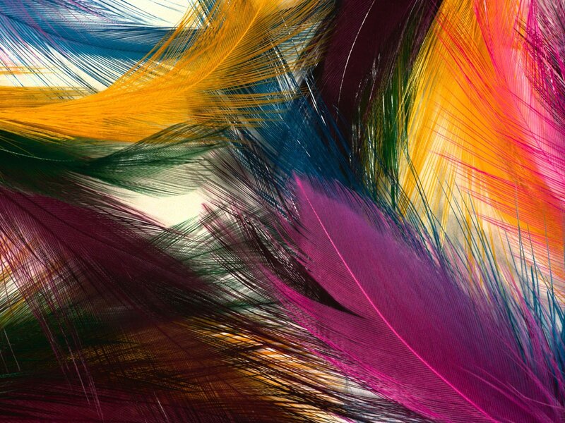 colorful feathers abstract pattern