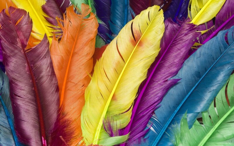 colorful feathers collage