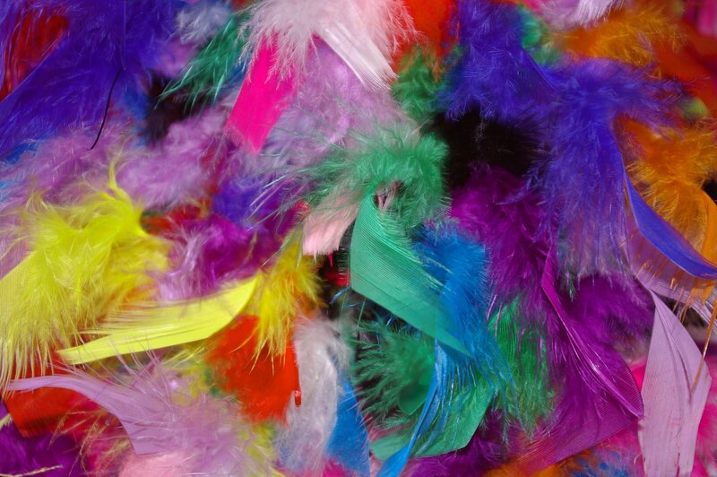 Colorful feathers in a pile