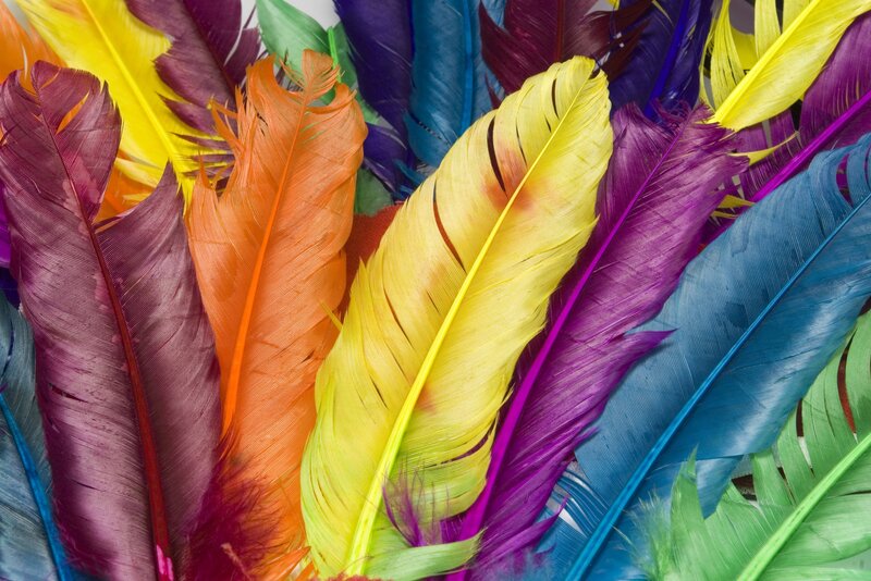 Colorful feathers in a pile