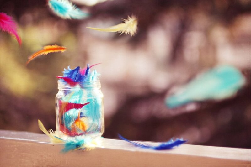 Colorful Feathers in Jar
