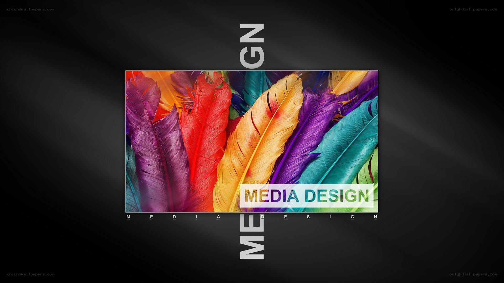 Colorful feathers media design