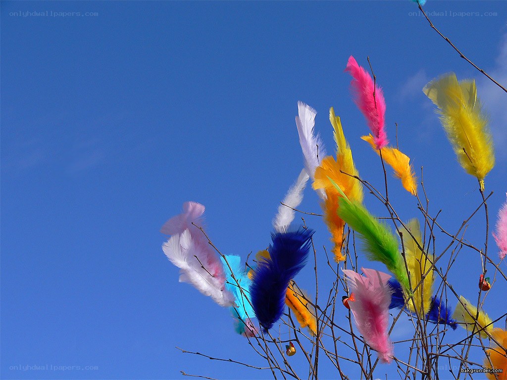 Colorful feathers on branches