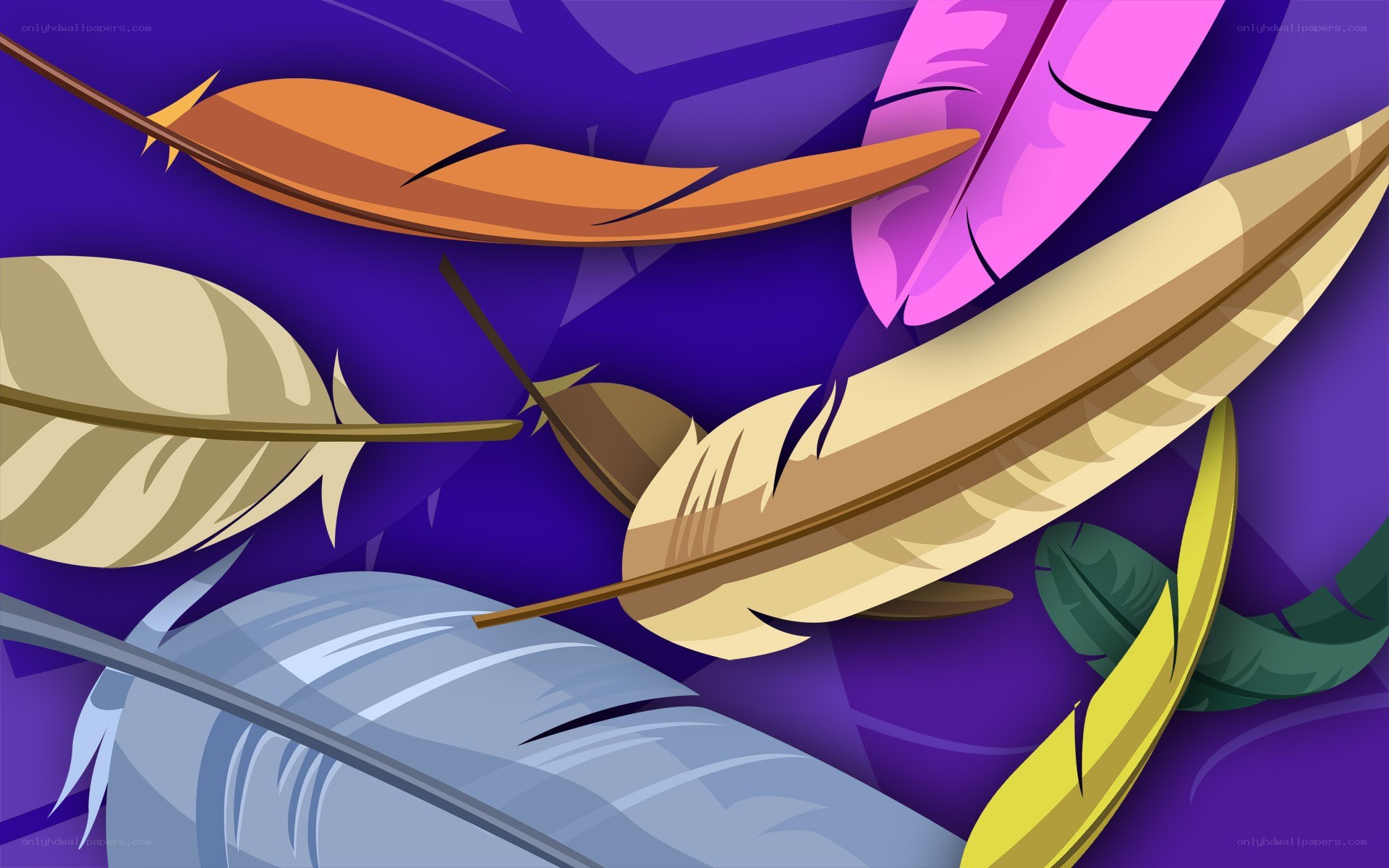 colorful feathers on purple