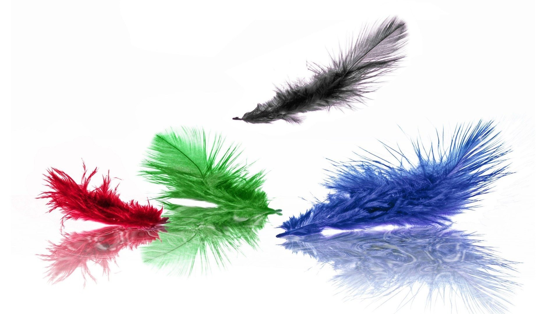 colorful feathers on white
