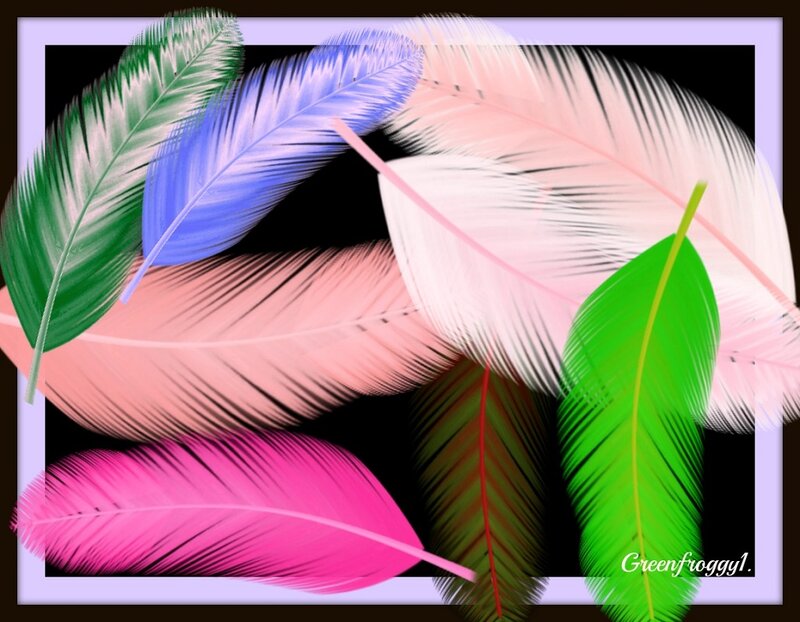 Colorful Feathers — Pink