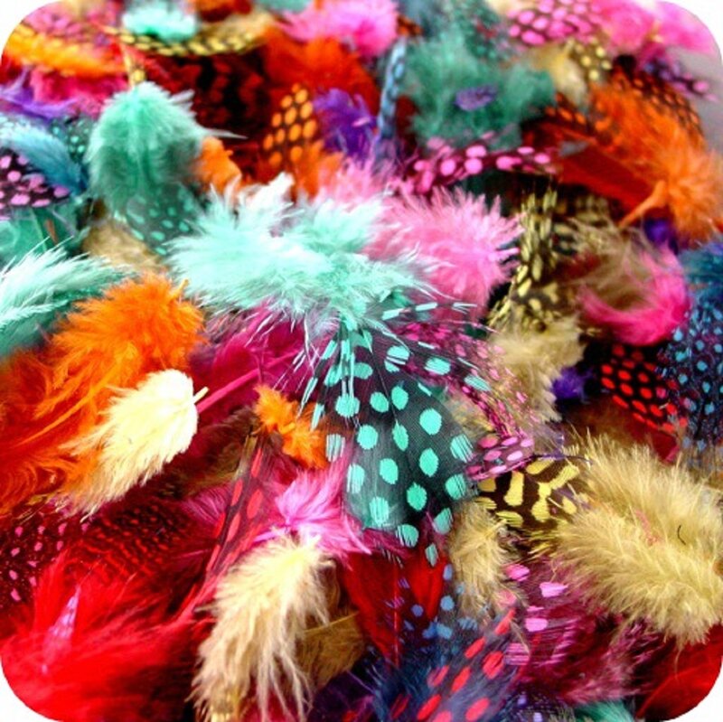 Colorful Feathers — Red, Vibrant, Photograph