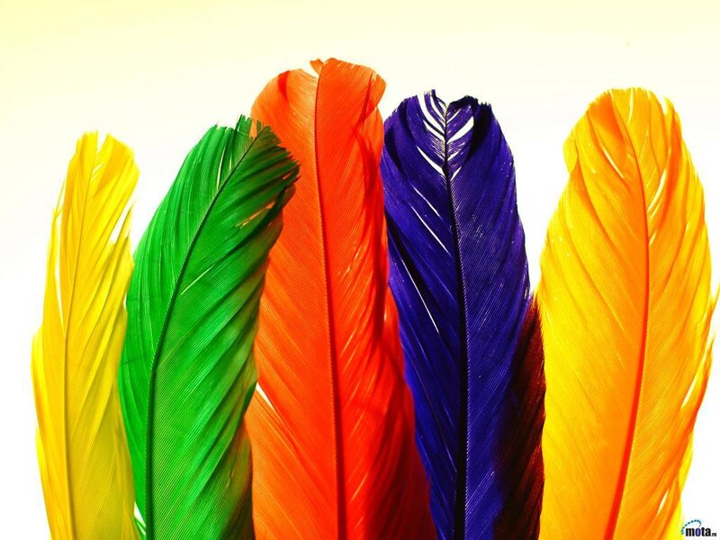Colorful Feathers — Yellow