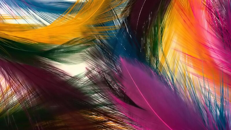 Colorful Feathers — Yellow, Vibrant, Abstract