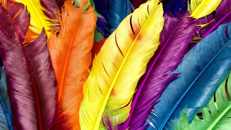 Colorful Feathers — Yellow, Vibrant, Photograph